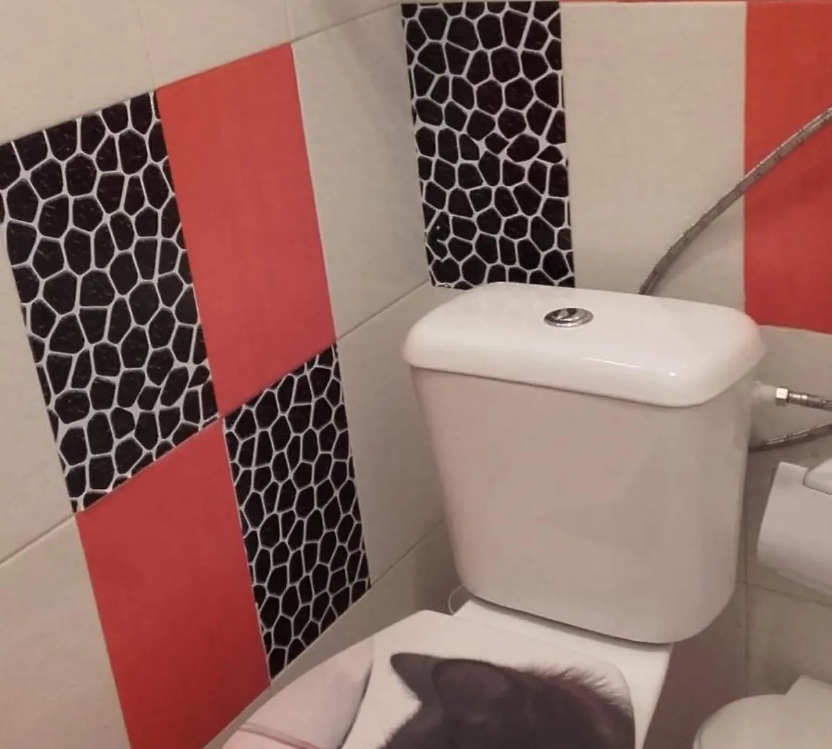 Apartamento Na Praia Sra Da Rocha Porches